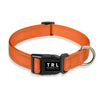 Reflective Dog Collar with Buckle