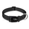 Reflective Dog Collar with Buckle
