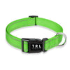 Reflective Dog Collar with Buckle