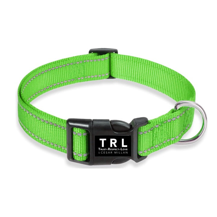 Reflective Dog Collar with Buckle