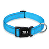 Reflective Dog Collar with Buckle